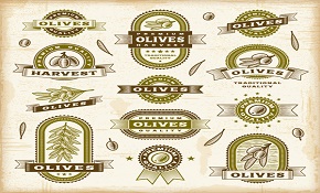 Olive oil label vector Olive oil label vector